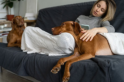 Illinois divorce attorney, Illinois family lawyer, Illinois divorce laws,